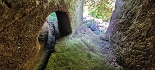 Plants: image 67 Of 208 Thumb